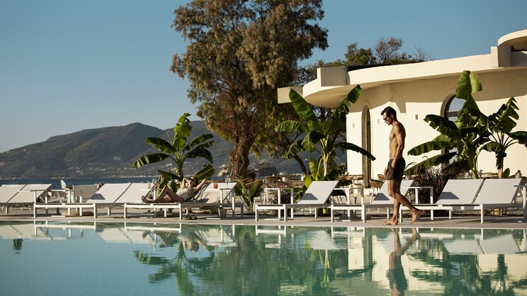 Domes Aulus Zante, Autograph Collection